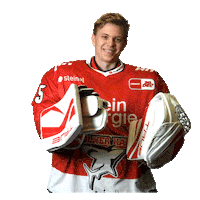 Sport Celebrate Sticker by Koelner Haie