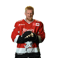 Goal Celebrate Sticker by Koelner Haie