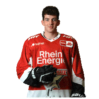 Goal Celebrate Sticker by Koelner Haie