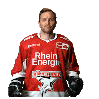 Goal Celebrate Sticker by Koelner Haie