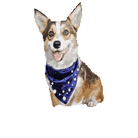 belluccimanila belluccimanila sundaethecorgi Sticker
