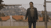 staring true detective GIF