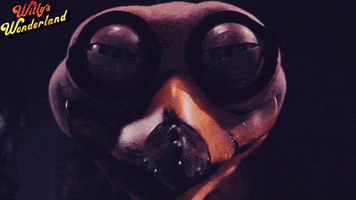 Screen Media Films GIF