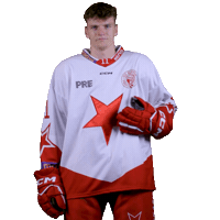 hcslaviapraha slavia slavia praha hc slavia praha hc slavia Sticker