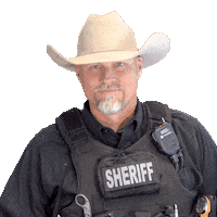 Face Palm Sticker by Pinal County Sheriff's Office