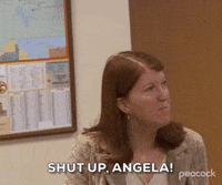 Angry Season 3 GIF by The Office