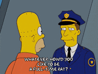 homer simpson GIF
