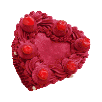 Happy Birthday Leo Sticker by Tasmeem