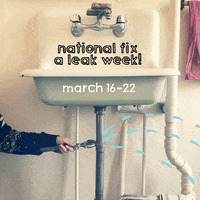 PerennialSTL  GIF