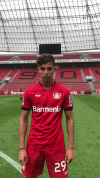 Bundesliga Love GIF by Bayer 04 Leverkusen
