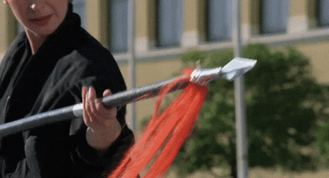 heroes3podcast giphyupload 1980s hong kong cynthia rothrock GIF