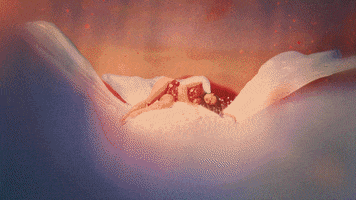 Roses GIF by Kali Uchis