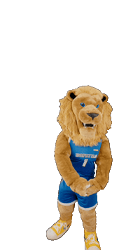New York Basketball Sticker by Hofstra University