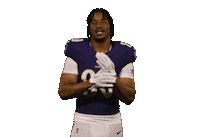 Football Nfl Sticker by Baltimore Ravens