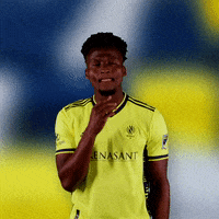 Major League Soccer Football GIF by Nashville SC
