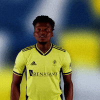 Major League Soccer Football GIF by Nashville SC