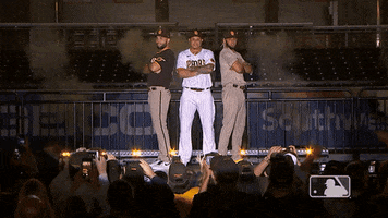 Finale Jr GIF by MLB