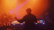 London Party GIF by Low Steppa