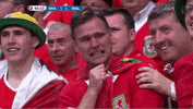 Euro 2016 Crying GIF by Sporza