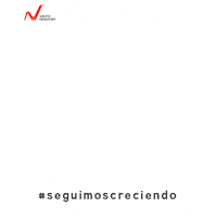 Brand Picture Sticker by Grupo Newport