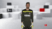 Posing Line Up GIF by Bundesliga
