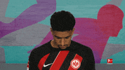 Posing Line Up GIF by Bundesliga