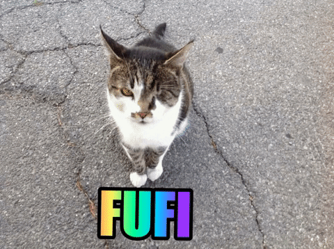 musictheraphy giphygifmaker fufitheraphy GIF