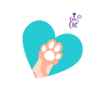 CuteCatPe cats feliz hola gato Sticker
