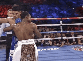toprank fight fighting espn fighters GIF