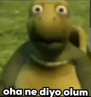 Fun Turtle GIF