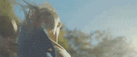 Best Friends Squad GIF by TIFF