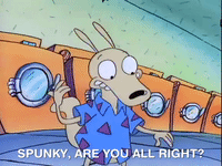rockos modern life nicksplat GIF