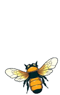 bee insect Sticker by Adriana Barra