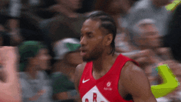 Toronto Raptors Mood GIF by NBA