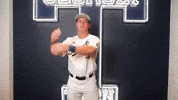 Georgia Tech Baseball GIF by Georgia Tech Yellow Jackets