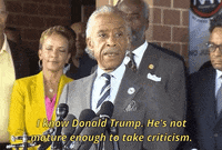 news donald trump al sharpton GIF