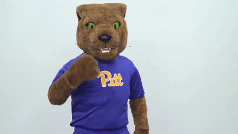 college sports hello GIF by Pitt Panthers