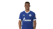 football thumbs up Sticker by Bundesliga
