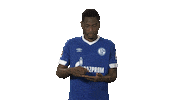football soccer Sticker by Bundesliga