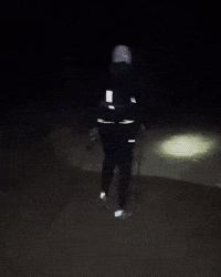 Night Woods GIF
