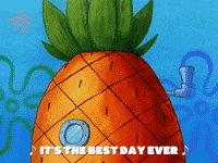 season 4 episode 20 GIF by SpongeBob SquarePants