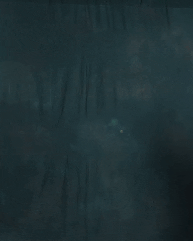 Major League Soccer Sport GIF by Timbers