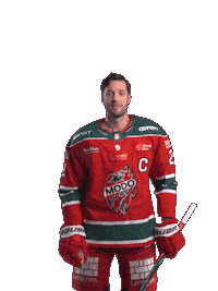 Ice Hockey Hockeyallsvenskan Sticker by MoDo Hockey