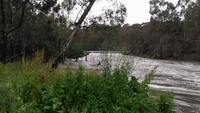 Man in Inflatable Raft Floats Down Rain-Swollen Yarra River
