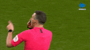 Everton Ligainggris GIF by MolaTV