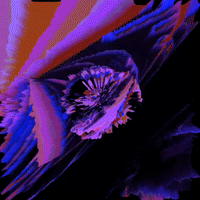 experimental video glitch 3d motiongraphics GIF by CONDESADE