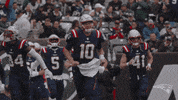 Football Nfl GIF by New England Patriots
