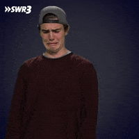 Stop Dont Like GIF by SWR3