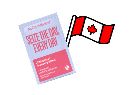 Health Drinking Sticker by No Days Wasted