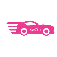 car woosh Sticker by WooshBeauty